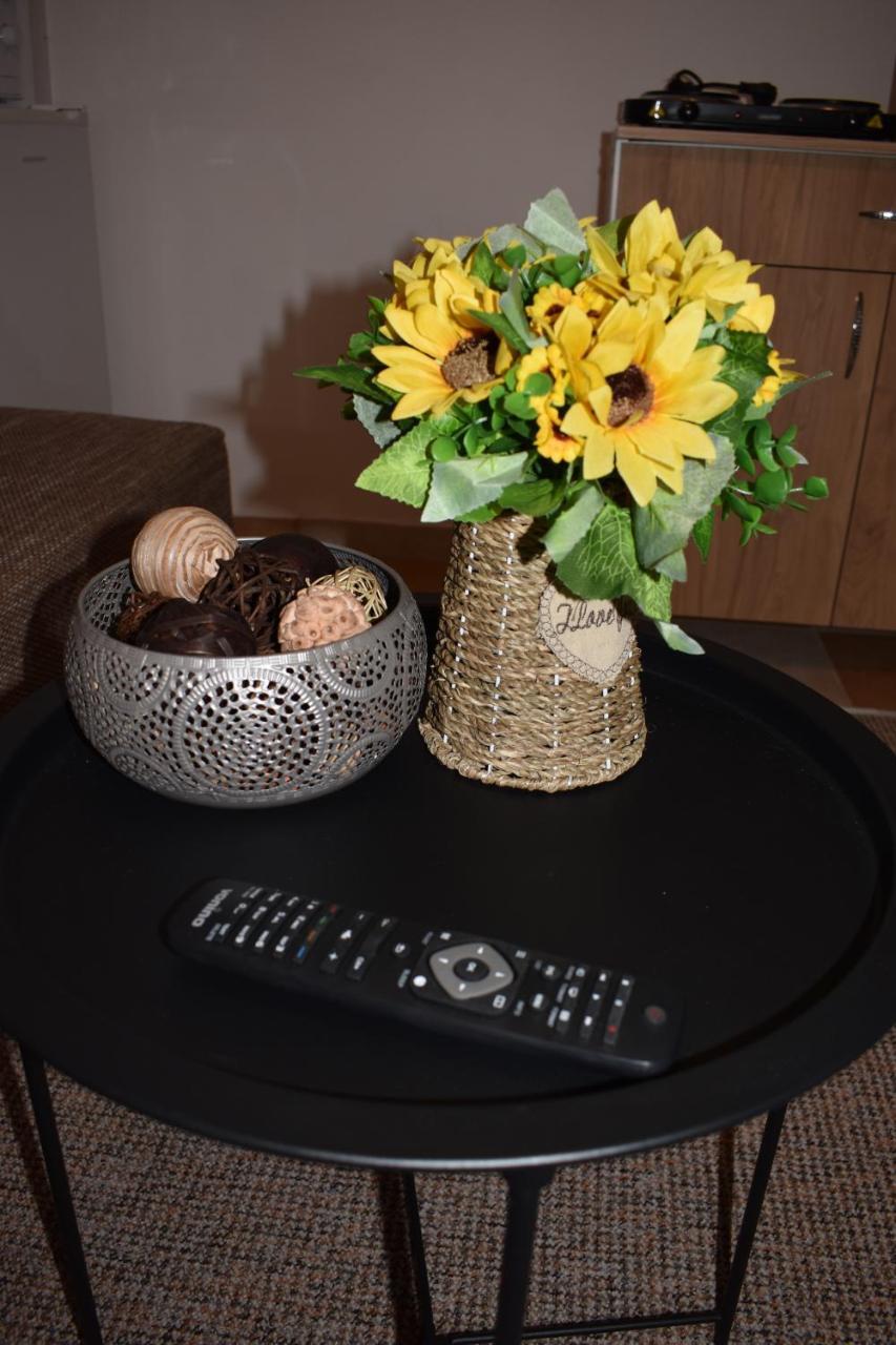 Apartament Zimbru Cluj-Napoca Luaran gambar